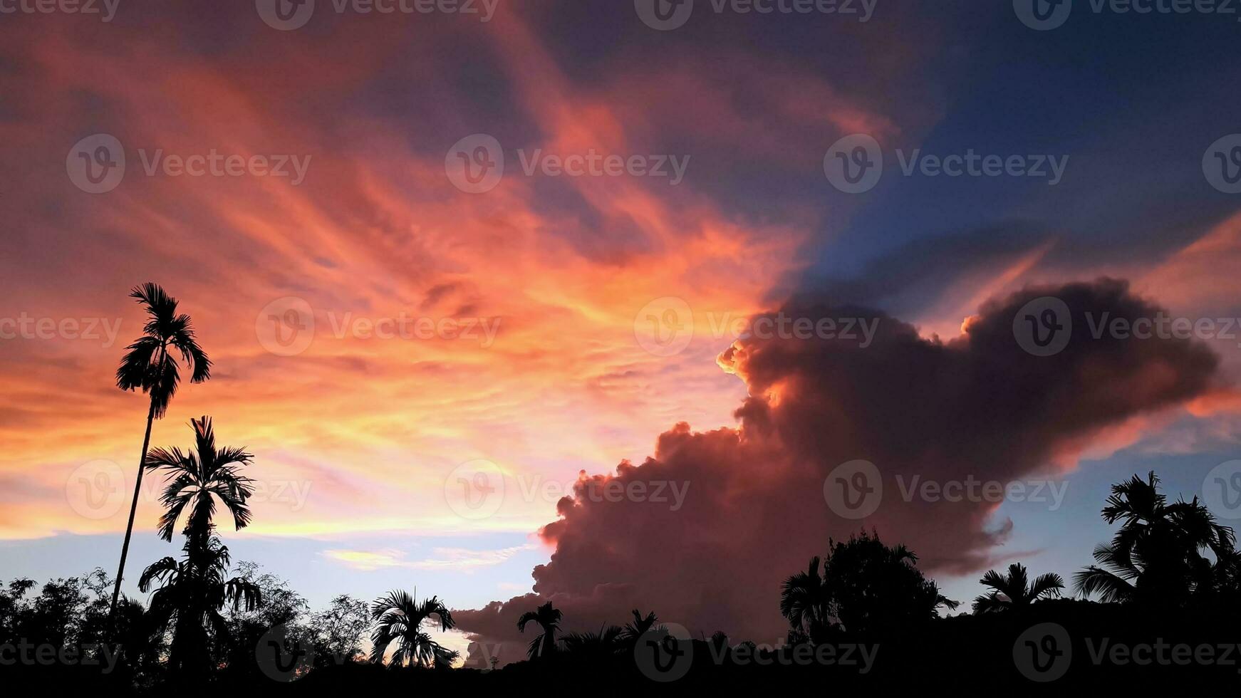 erstellen Schönheit von Landschaft sah Berge, Betel Palme Kokosnuss Bäume, mit Blau Himmel mischen golden orange. das natürlich Atmosphäre Abend ist hell und charmant im das Landschaft. foto