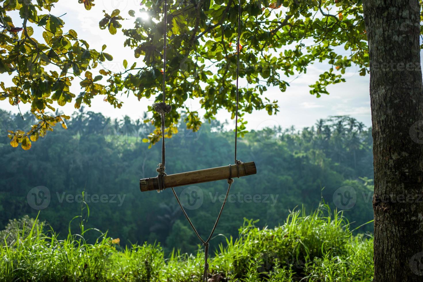 Schaukel beim Campuhan Ridge Walk in Ubud auf Bali foto