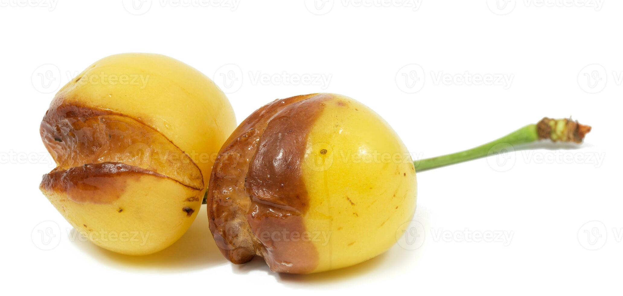 Gelb verfault Süss Kirsche auf ein Weiß isoliert Hintergrund foto