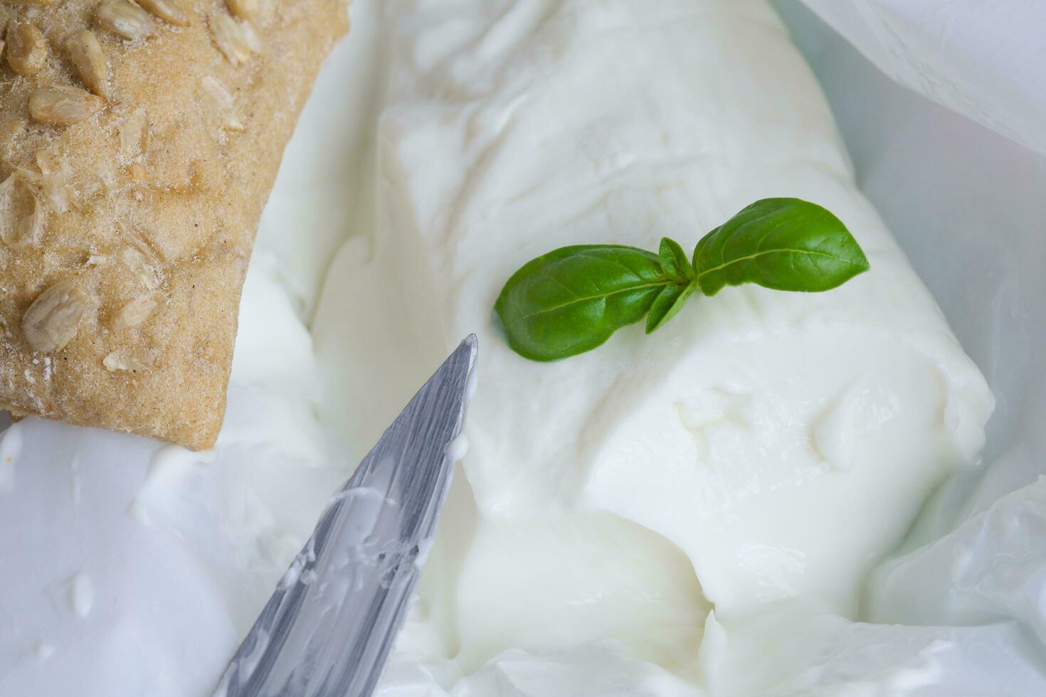 Italienisch Käse - - Stracchino mit Basel Blätter. Nahansicht foto