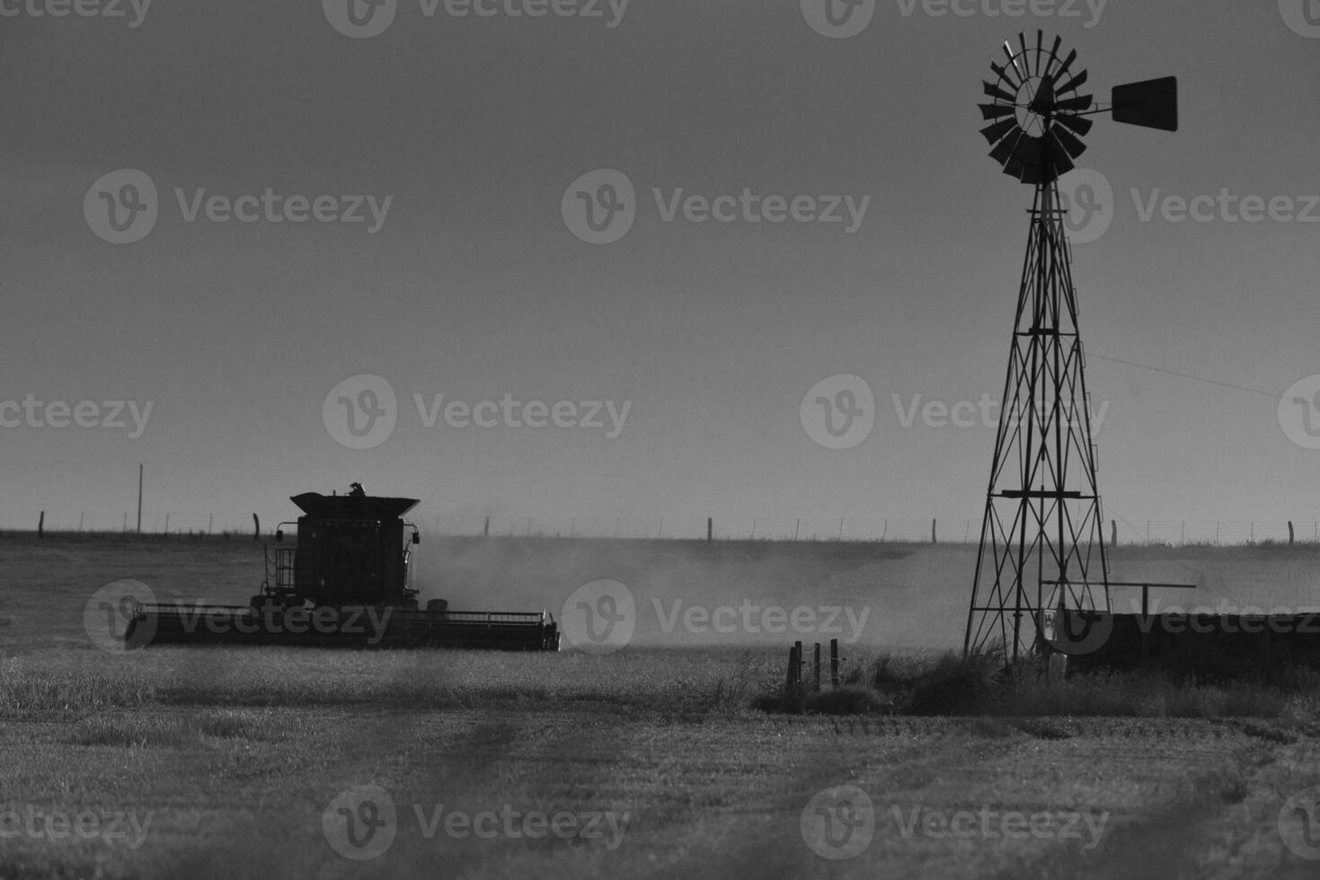 Mähdrescher Maschine, Ernte im das Argentinien Landschaft, Buenos Aires Provinz, Argentinien. foto