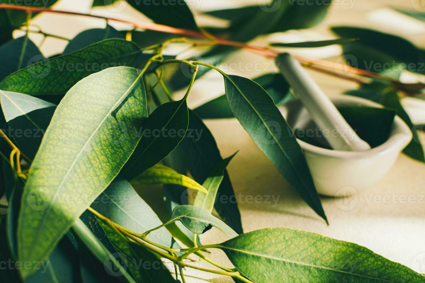 klein Weiß Keramik Granatwerfer, mit Eukalyptus Blätter. Schönheit und Spa Konzept. foto