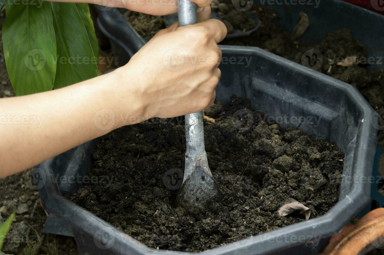Bauern Schaufel das Boden und bereiten das Boden zum Pflanzen. foto