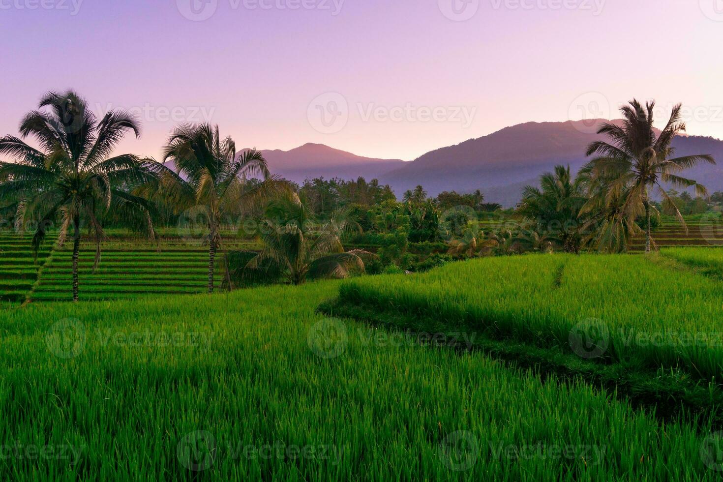 schöne Morgenansicht Indonesien Panoramalandschaft Reisfelder mit Schönheitsfarbe und natürlichem Himmelslicht foto