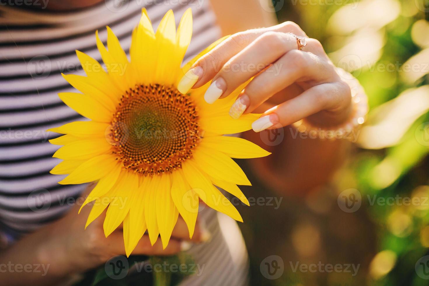 Nahaufnahme kein Gesicht Weibchen tragen Sommerkleid mit einer Sonnenblume an der Brust. schöne Maniküre foto