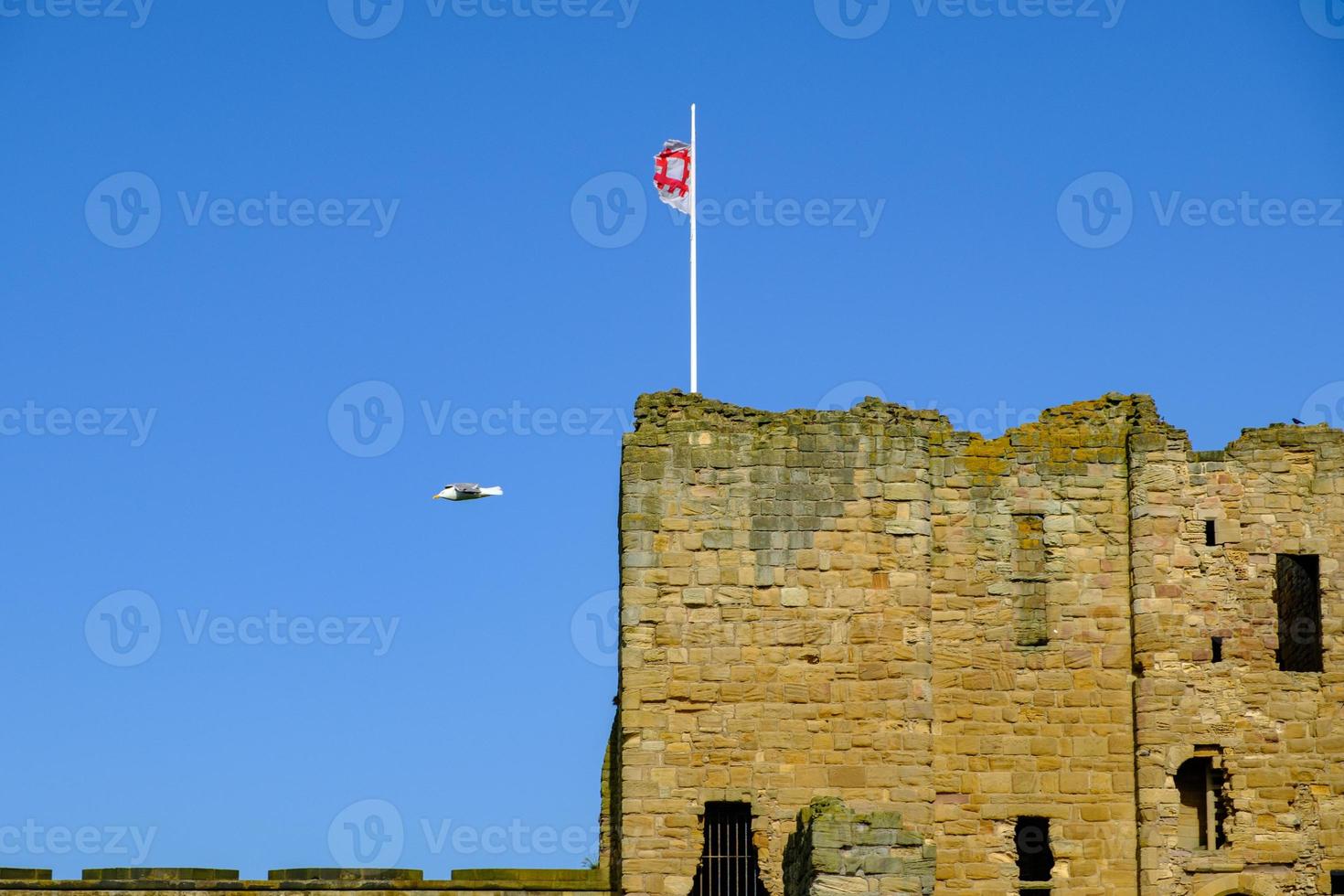 Möwe, die über dem mittelalterlichen Priorat und Schloss von Tynemouth, Großbritannien, fliegt foto