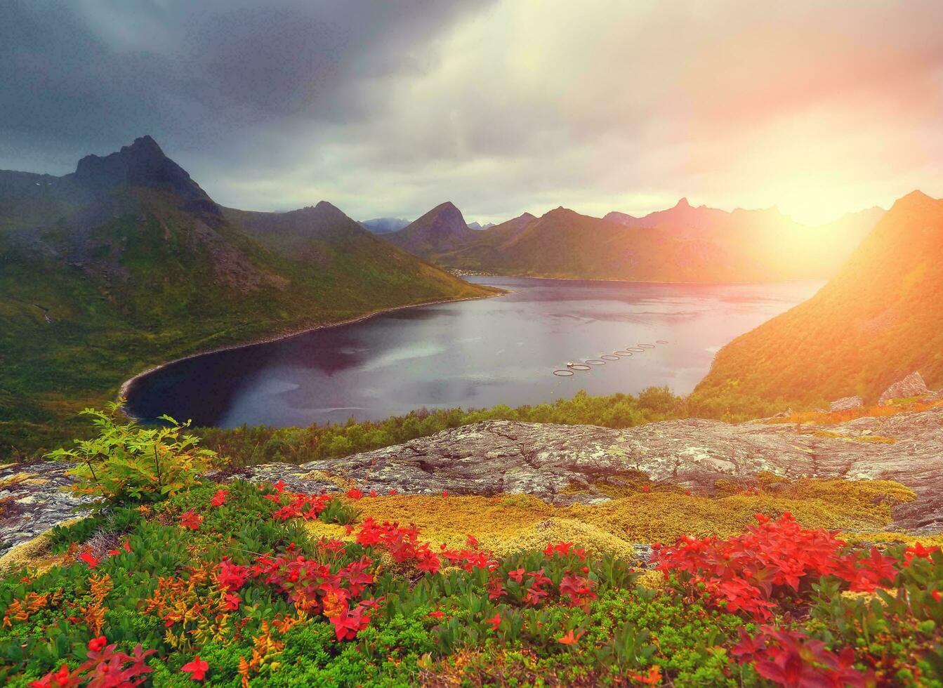 Natur Grün Landschaft Himmel Hintergrund Foto