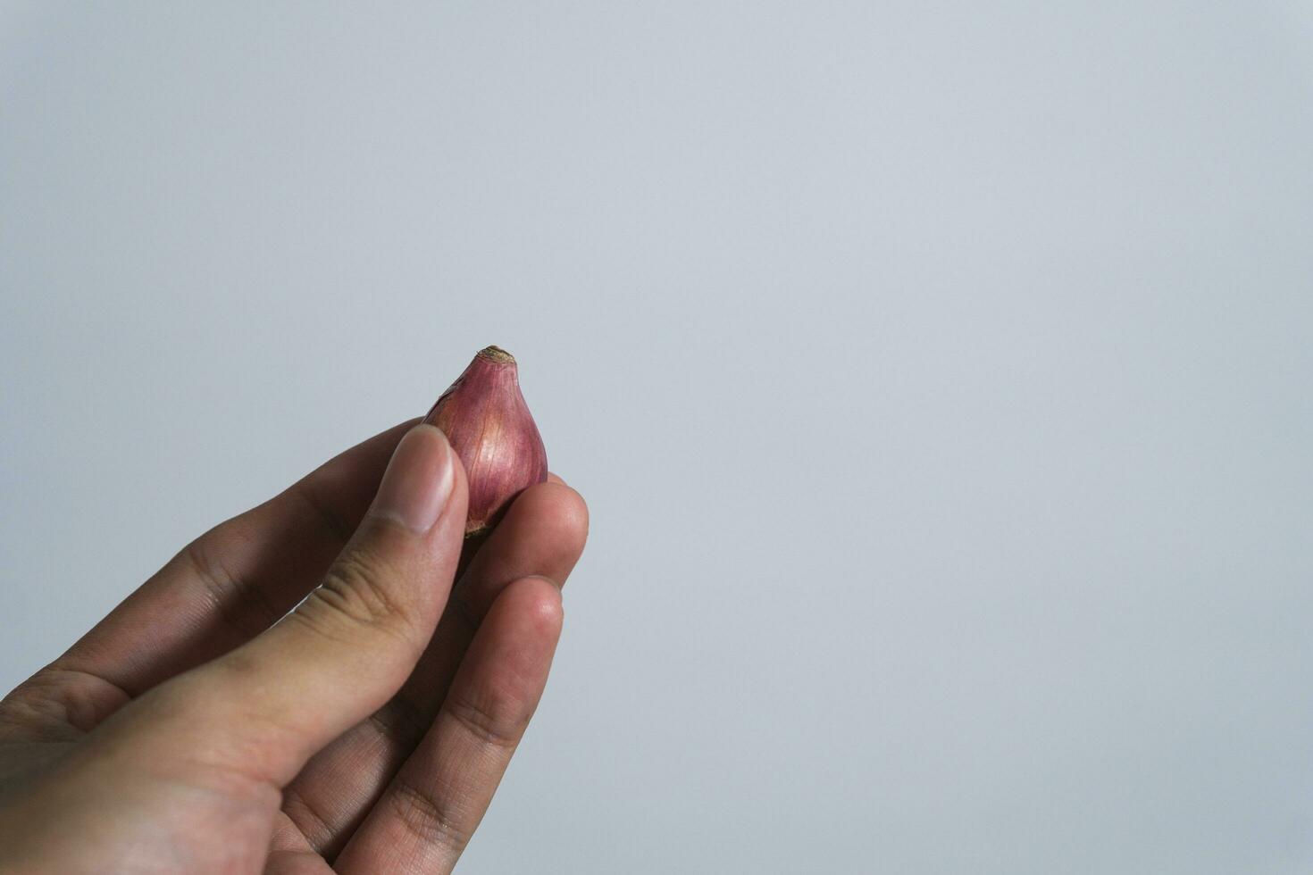 Hand halten Knoblauch isoliert auf Weiß Hintergrund. das Konzept von das verwenden von Knoblauch und gesund Essen foto