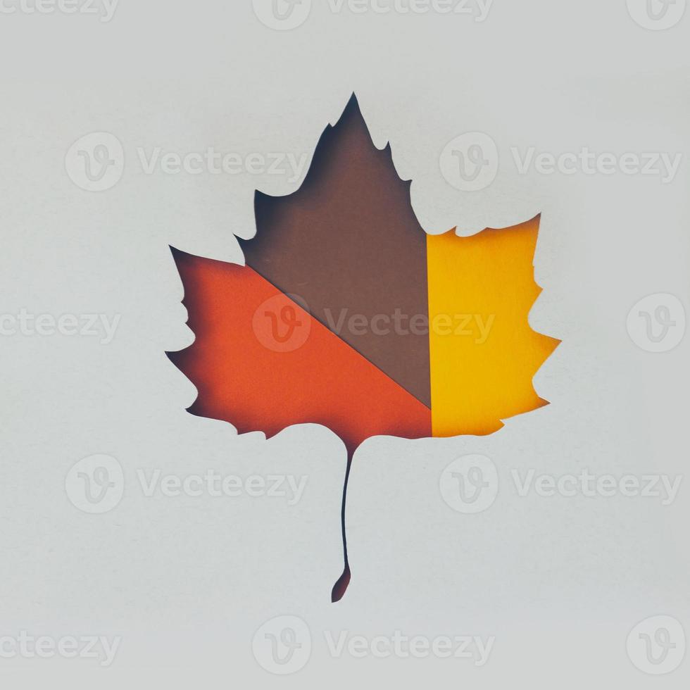 kreatives Herbstlayout aus abgefallenen Blättern in Blattform foto