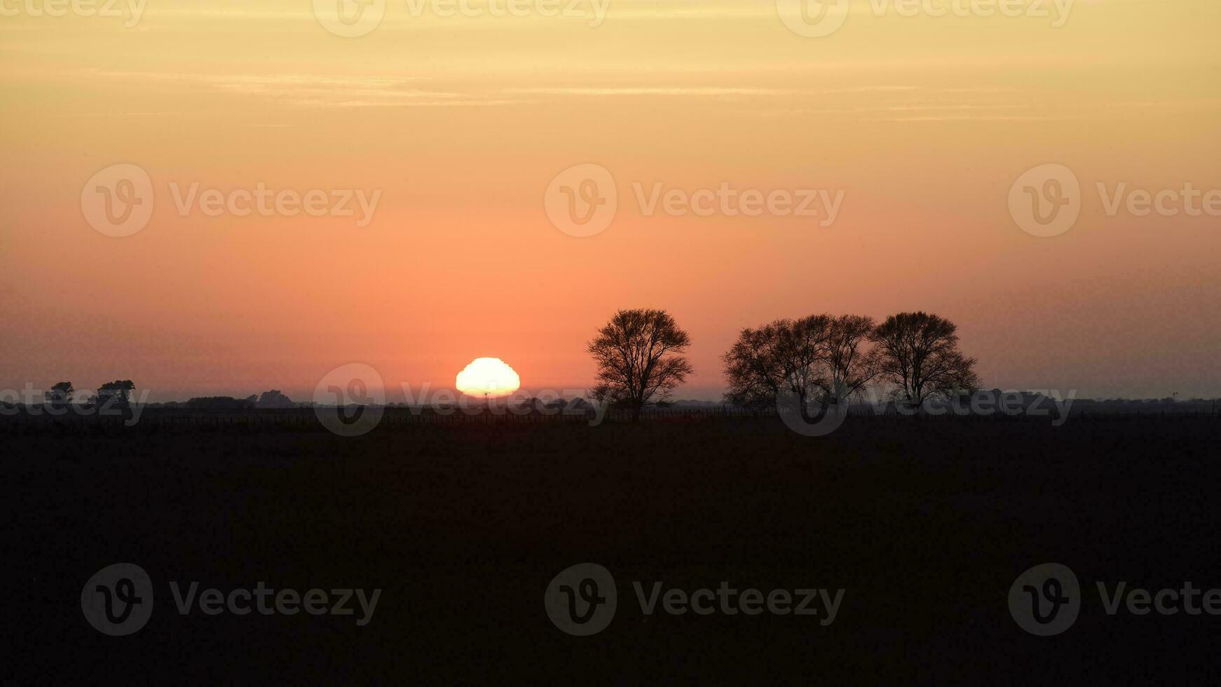 ländlich Sonnenuntergang Landschaft, Buenos Aires Provinz , Argentinien foto