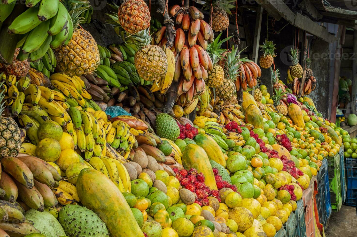 Regal von viele frisch Früchte, frisch Obst Stall, Konzept von Früchte und gesund Essen, Verkauf von verschiedene Früchte foto