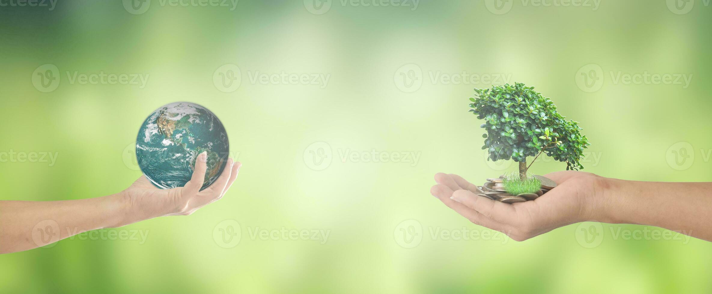 Welt Umgebung Konzept, Mensch Hand halten Erde global und Baum Über Grün Bokeh Hintergrund. Elemente von diese Bild möbliert durch NASA foto