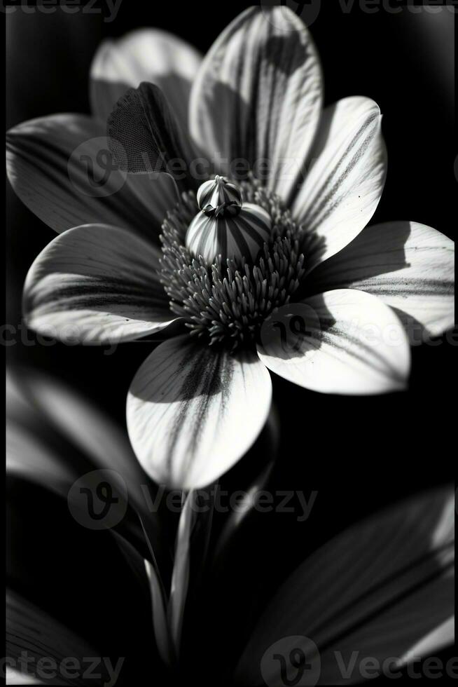 ein schwarz und Weiß Foto von ein Blume. ai generiert