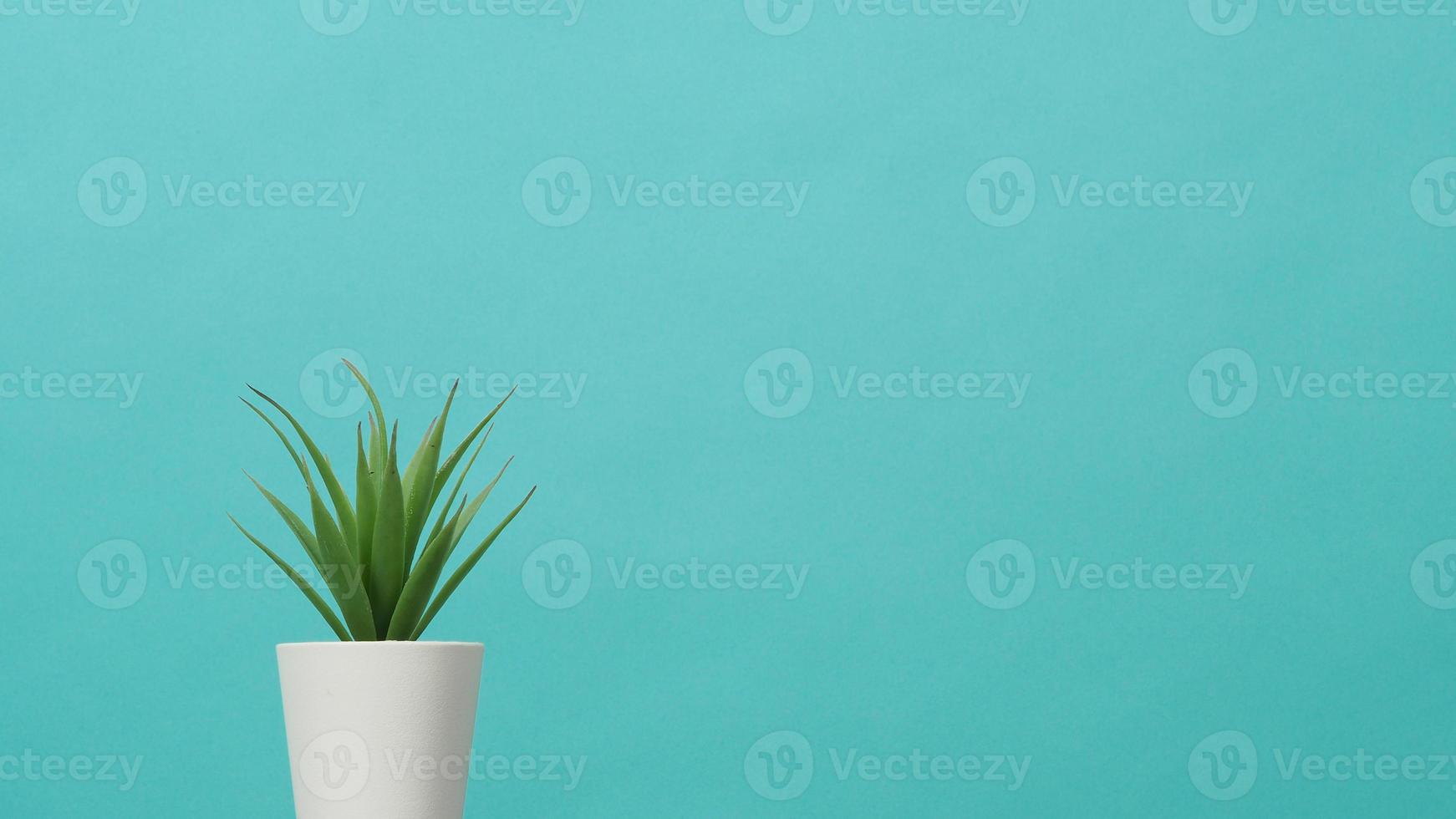 künstliche Kaktuspflanze auf dem Schreibtisch mit mintgrünem Hintergrund foto