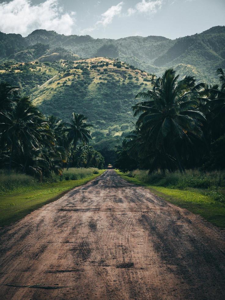 eine unbefestigte Straße, die zu tropischen Kokospalmen in Oahu, Hawaii führt foto