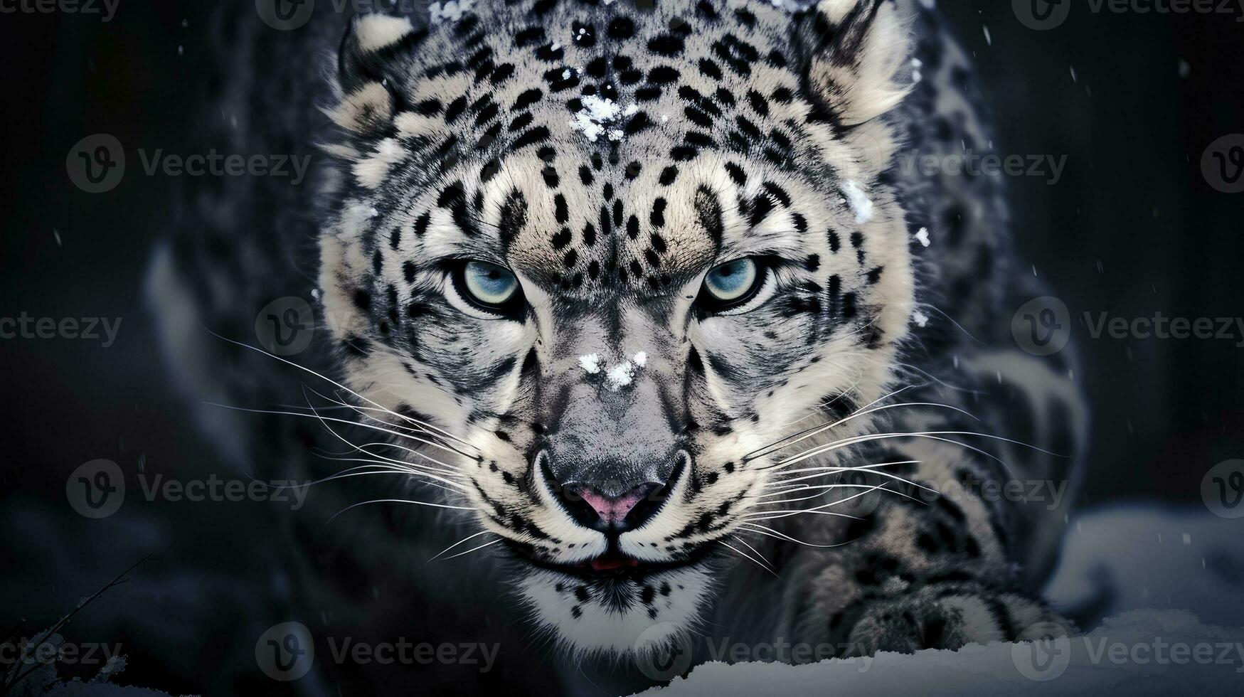 Vorderseite Aussicht von ein heftig Schnee Leopard. generativ ai foto