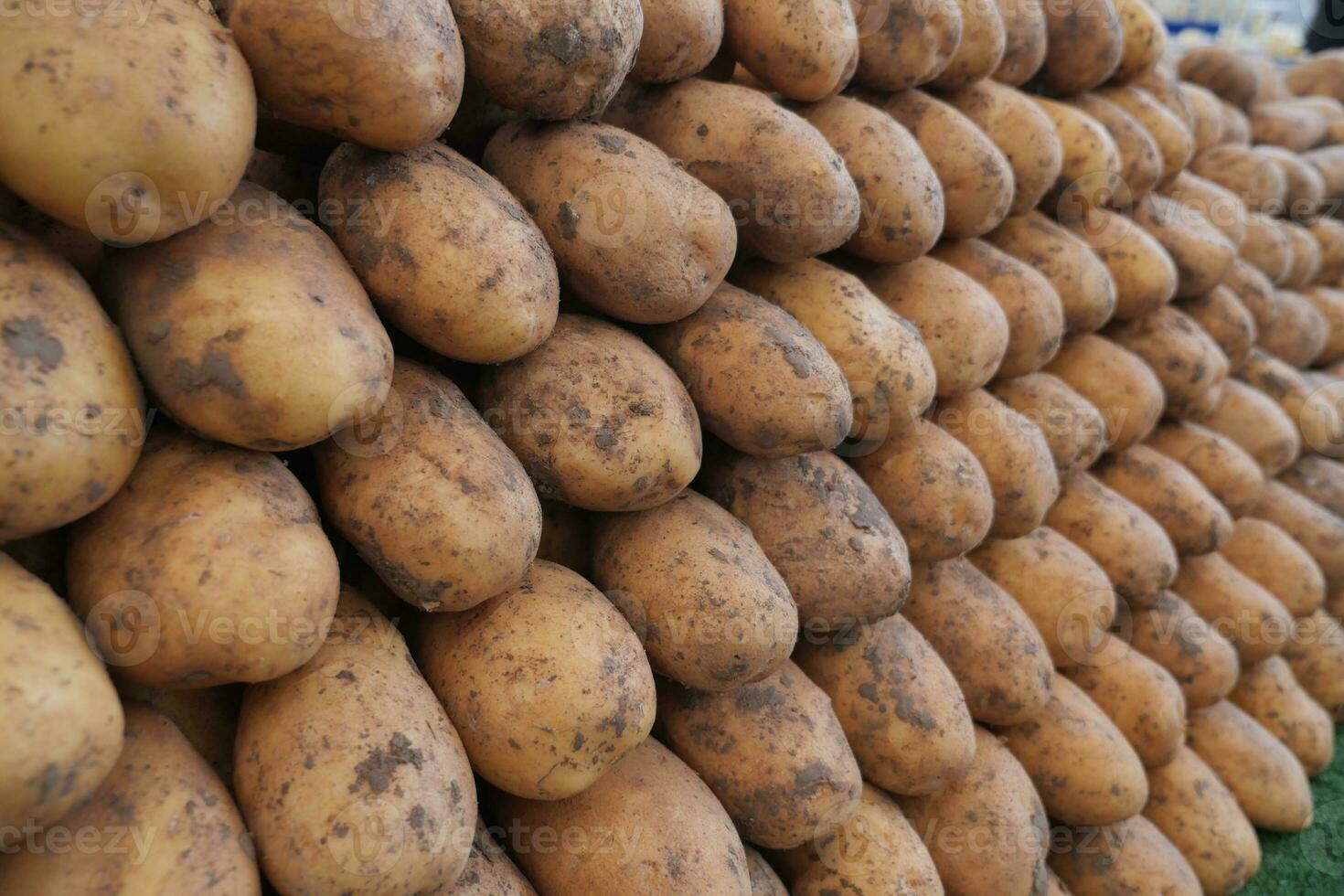 roh Kartoffel gefüttert oben beim lokal Markt foto