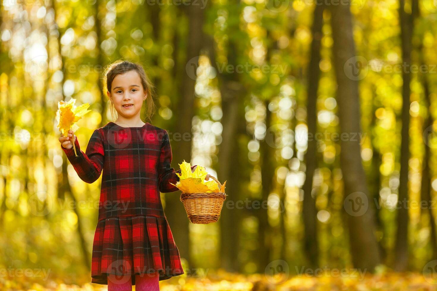 wenig Mädchen sammelt gefallen Herbst Blätter. foto