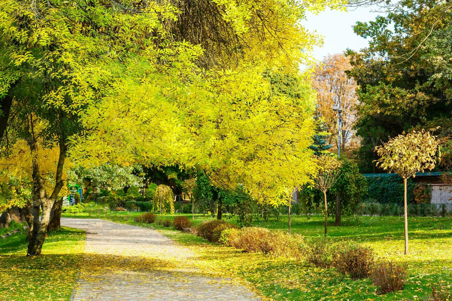 Herbst im ein Park, Straße im Gelb Blätter foto