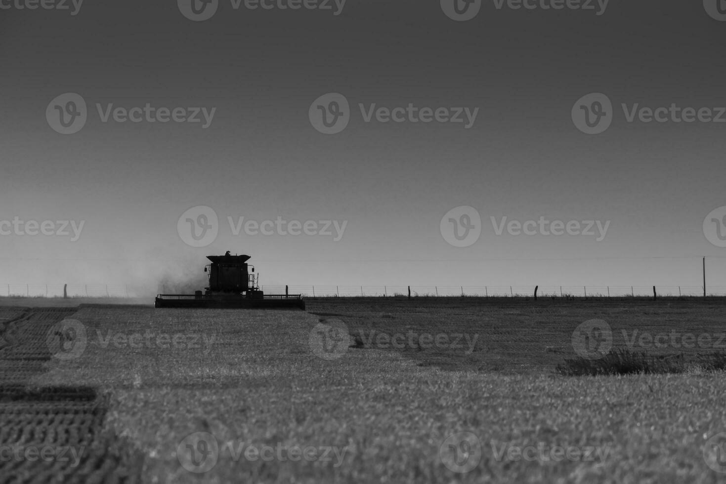 Mähdrescher Maschine, Ernte im das Argentinien Landschaft, Buenos Aires Provinz, Argentinien. foto