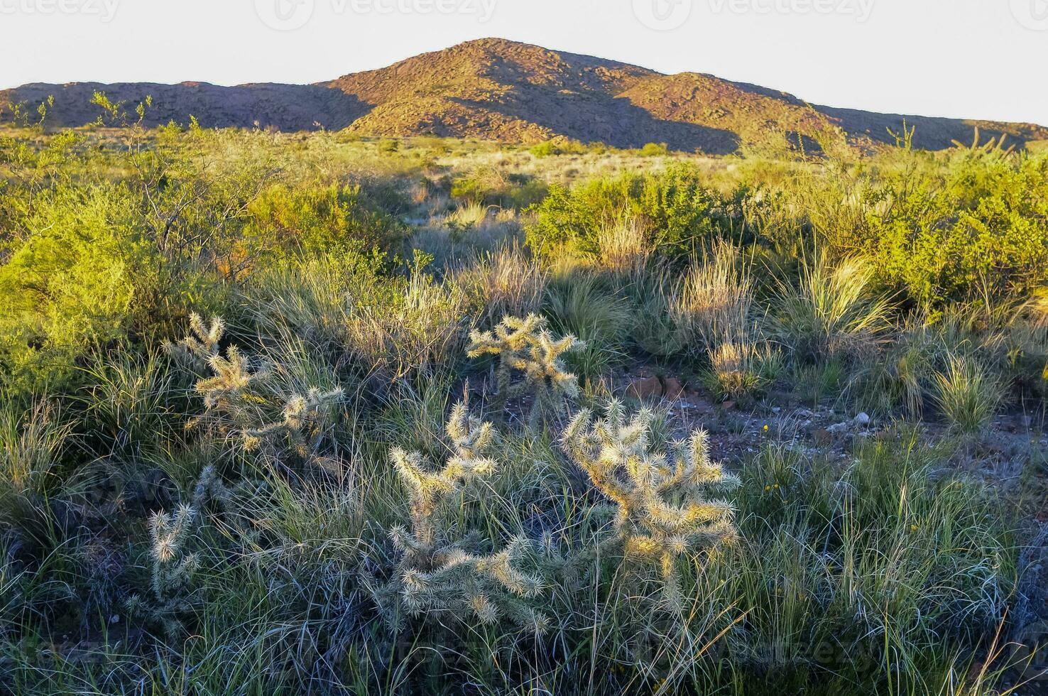 lihue Calel National Park Sierra Landschaft, la Pampa, Argentinien foto