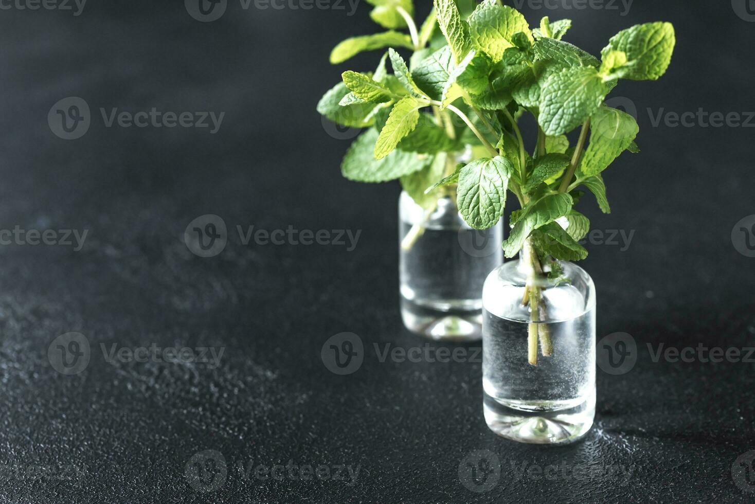 Bündel von frisch Minze im das Glas Fläschchen foto