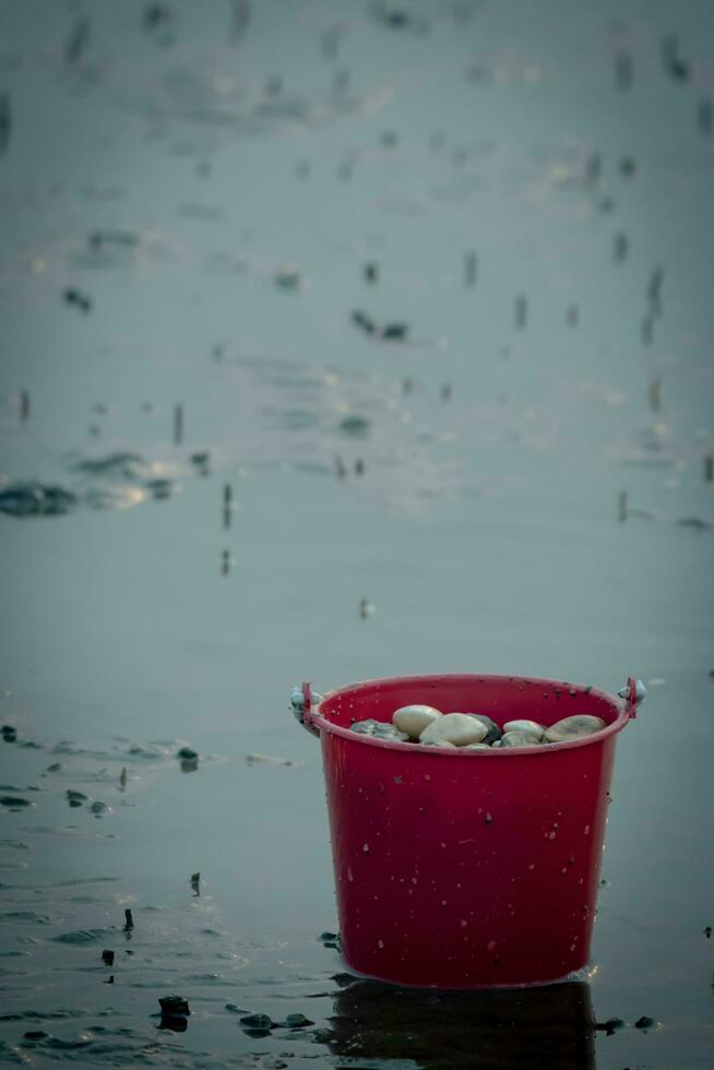 Meer Muscheln im das Eimer foto