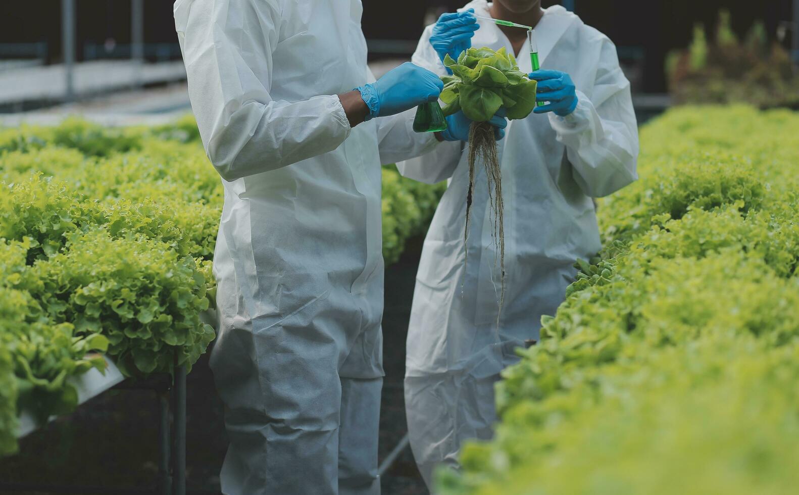 asiatisch Frau Farmer mit Digital Tablette im Gemüse Garten beim Gewächshaus, Geschäft Landwirtschaft Technologie Konzept, Qualität Clever Bauer. foto