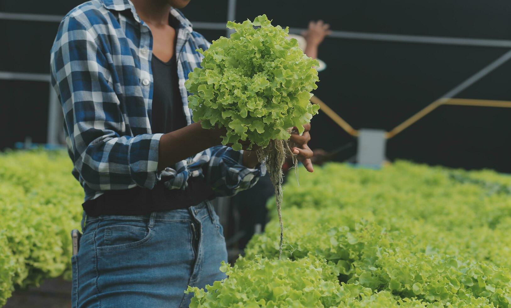 asiatisch Frau Farmer mit Digital Tablette im Gemüse Garten beim Gewächshaus, Geschäft Landwirtschaft Technologie Konzept, Qualität Clever Bauer. foto