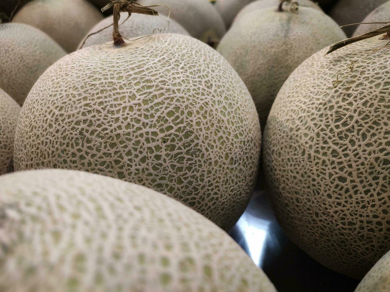 Cantaloup-Melone Melone, Schatz Tau Melone, Melone. Melonen im das Markt, Nahaufnahme, selektiv Fokus. foto