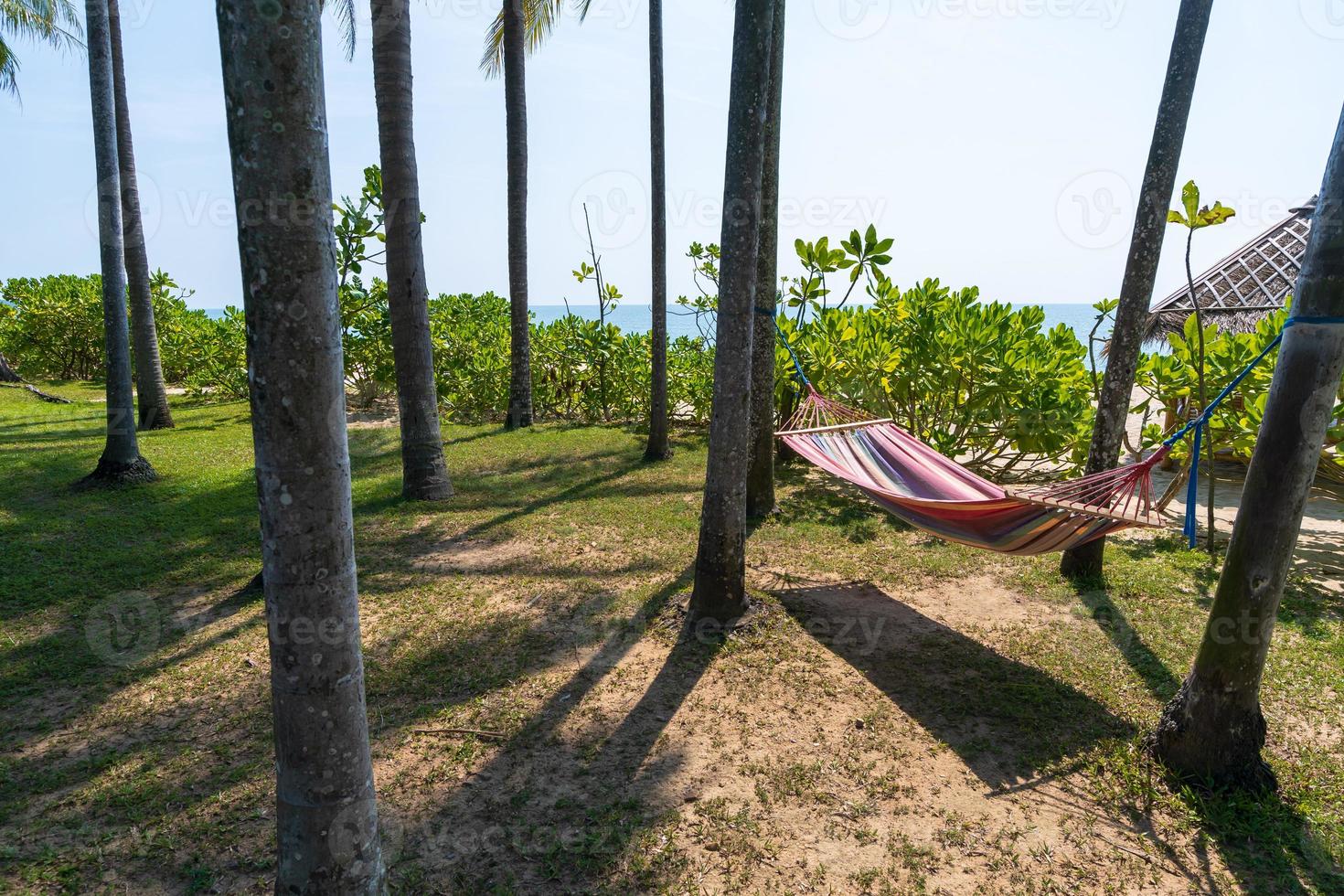 tropischer Strand mit Hängematte unter Palmen im Sonnenlicht foto