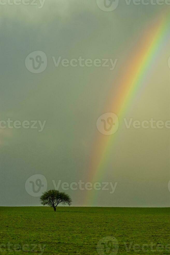 Regenbogen Über das Serengeti, Massai mara foto