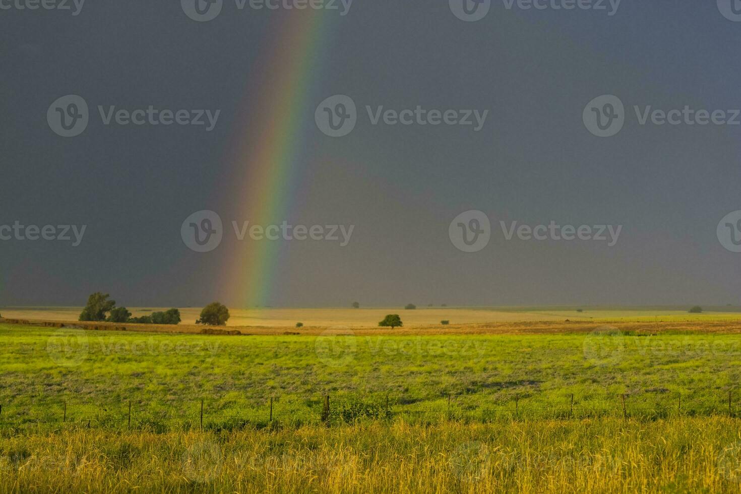 ein Regenbogen erscheint Über ein Feld von Gras foto