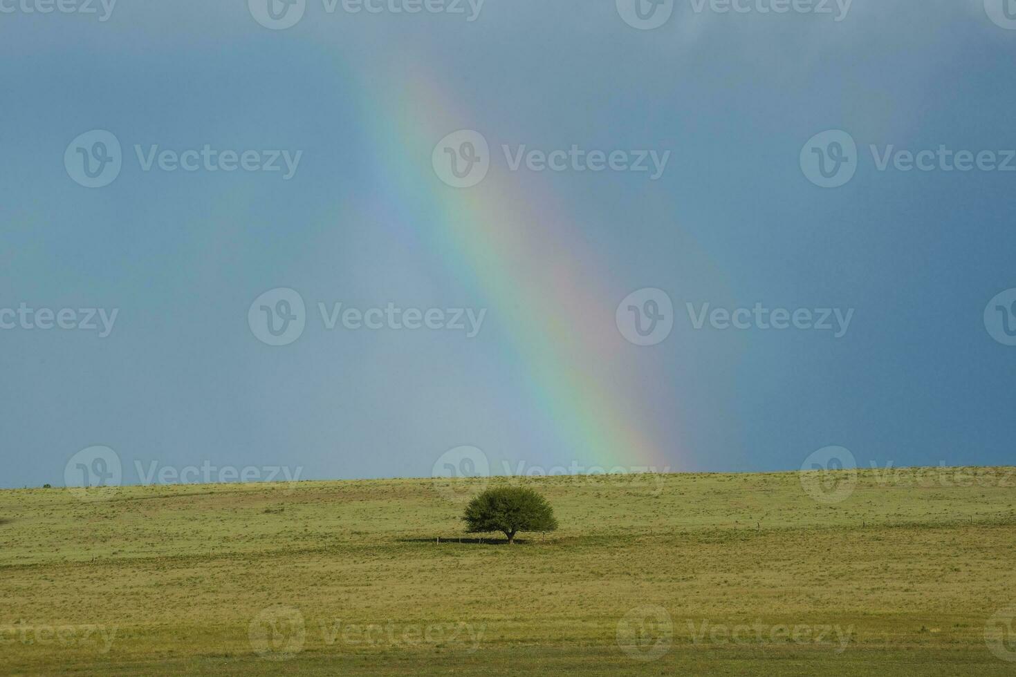 ein Regenbogen im das Himmel foto