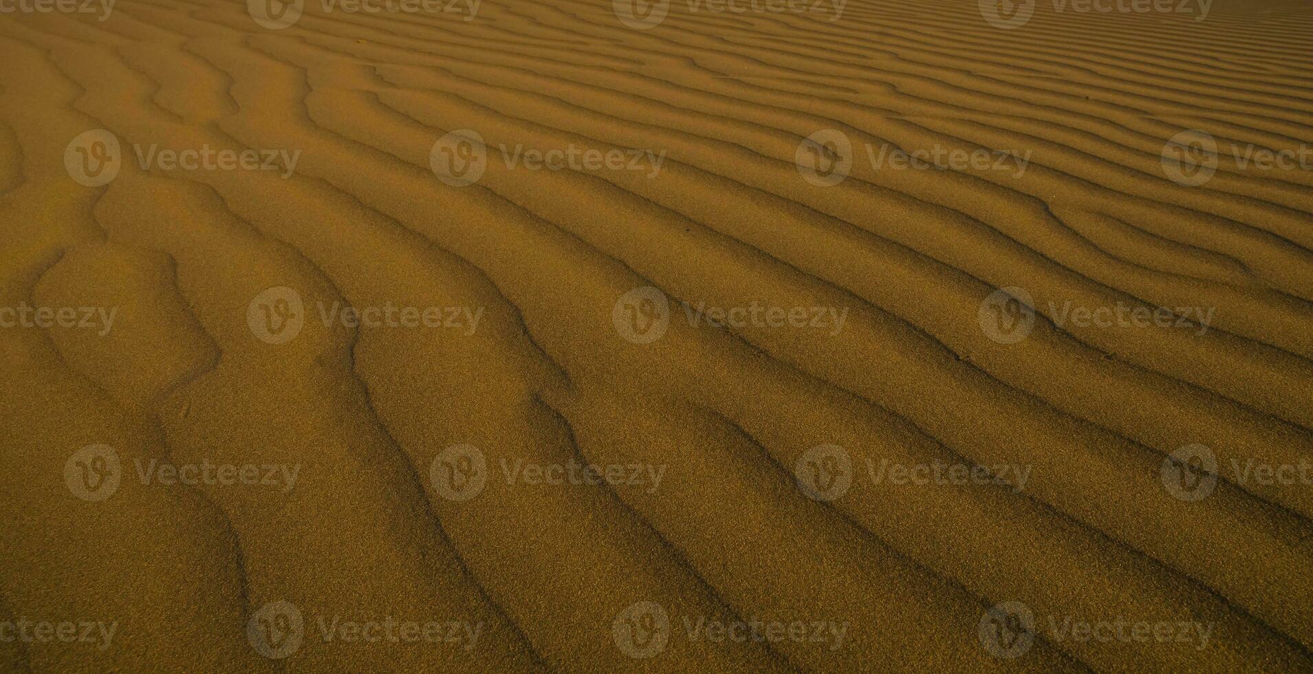 Düne Hintergrund Aussicht foto