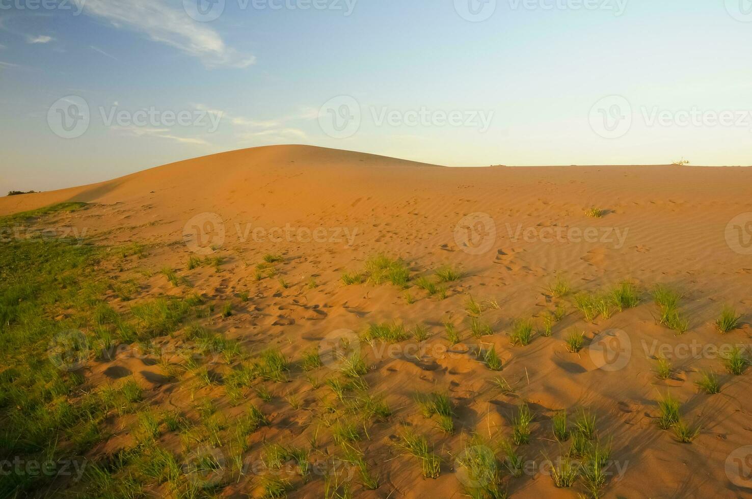 Landschaft las Pampas, Argentinien foto