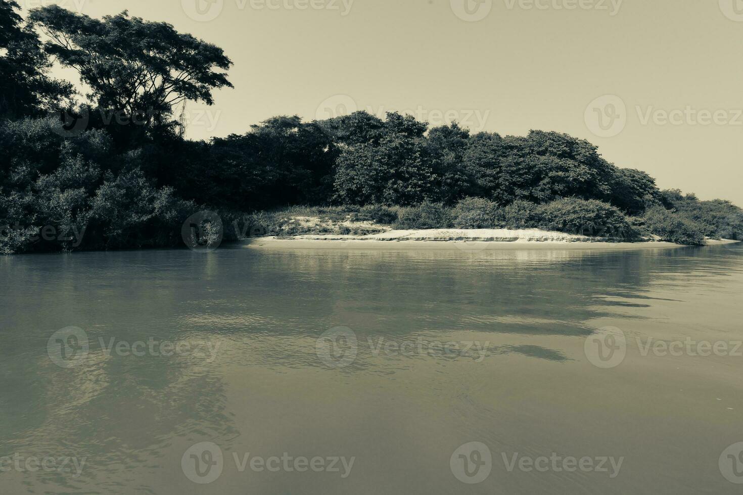 Brasilianer pantanal Landschaft Aussicht foto