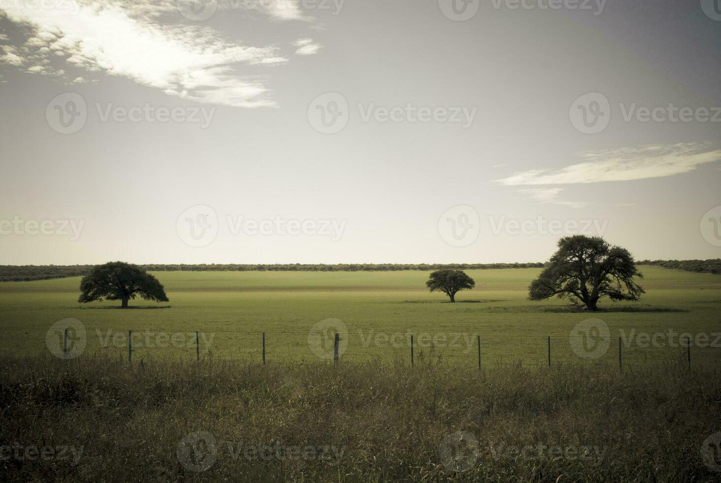 Landschaft Aussicht la Pampa, Argentinien foto