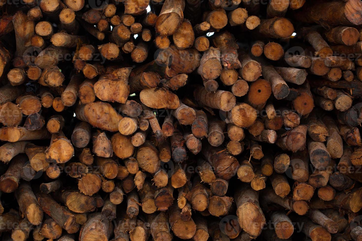 Brennholz gestapelt und für den Winter vorbereitet Haufen Holzscheite foto