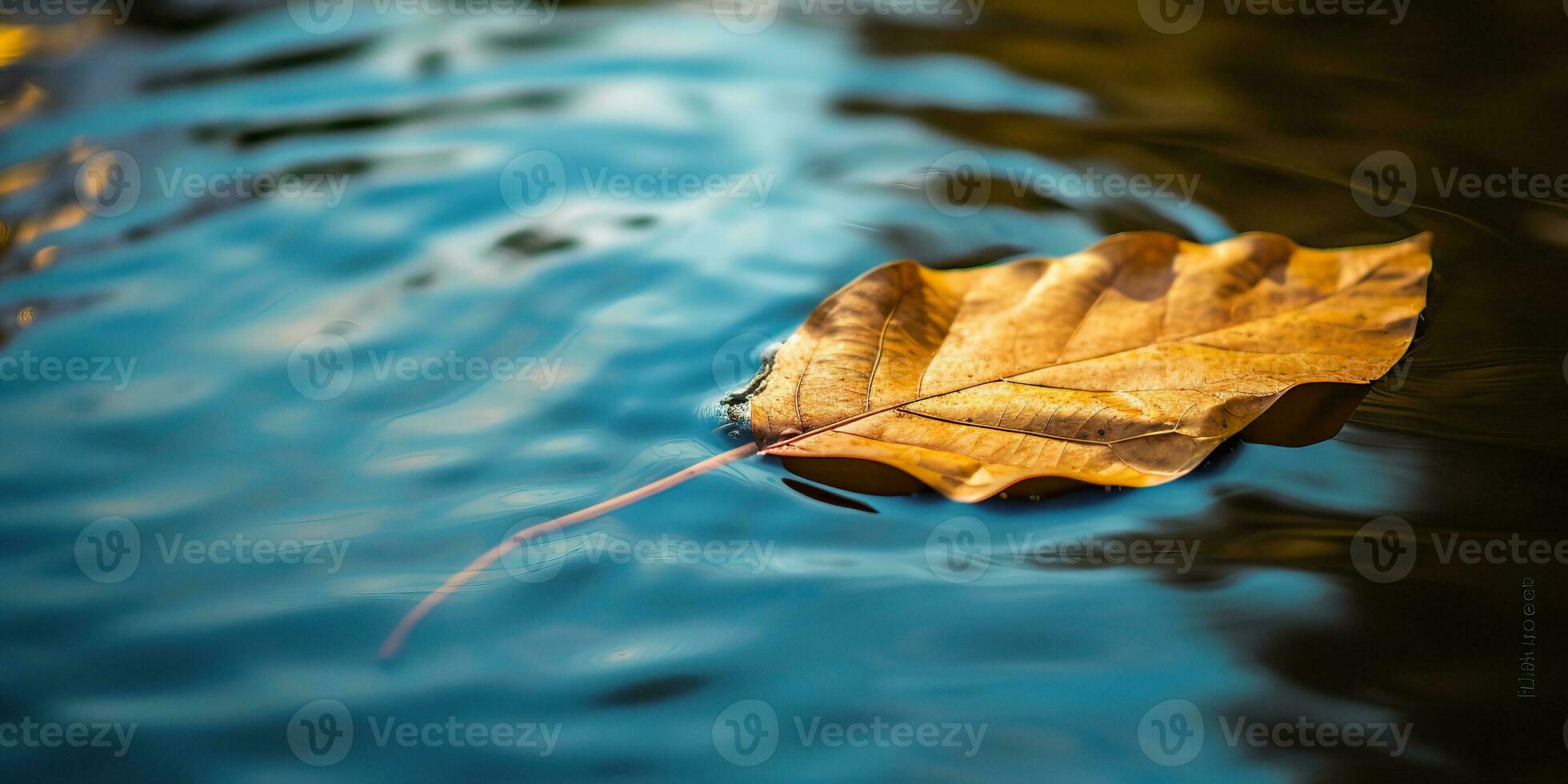 ai generiert. ai generativ. Natur draussen wild Blatt schwebend auf Blau Wasser Meer Oberfläche. Abenteuer Pflanze fallen Stimmung. Grafik Kunst foto