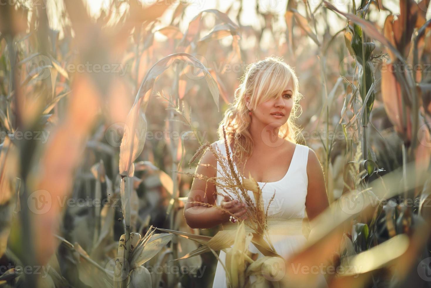 Frau in einem langen weißen Sommerkleid geht auf einem Maisfeld und posiert in der Sonnenuntergangszeit. foto