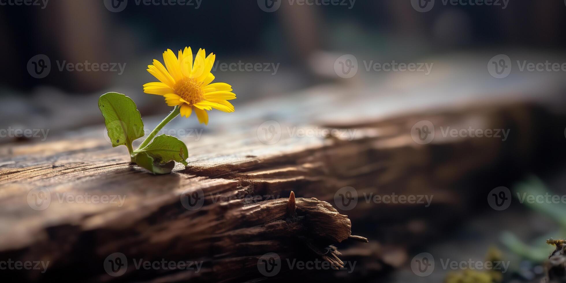 ai generiert. ai generativ. schön Gelb Blume wachsend von hölzern Backstein Block Tisch. Blumen- Leistung stark Natur draussen Stimmung. Grafik Kunst foto