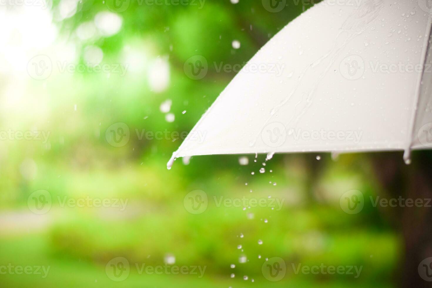 Regen auf Regenschirm. regnerisch Jahreszeit Wetter Konzept. foto