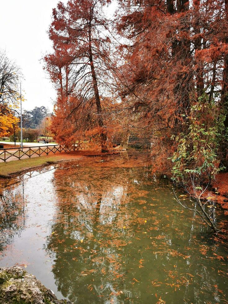 Herbst Landschaft im das Park. bunt Bäume im Herbst. foto