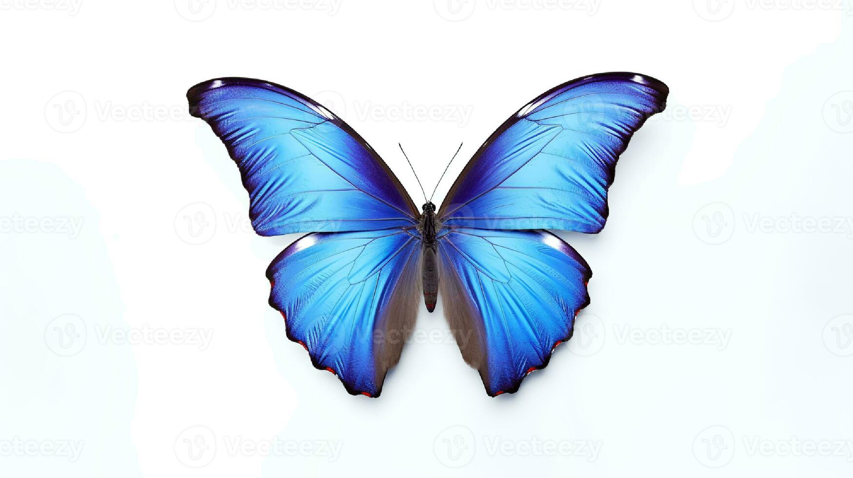 Foto von ein Blau Morpho Schmetterling auf Weiß Hintergrund. generativ ai