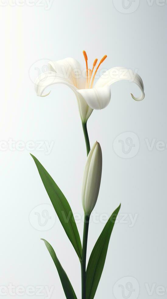 Foto von einer Stengel von Lilie Blume isoliert auf Weiß Hintergrund. generativ ai