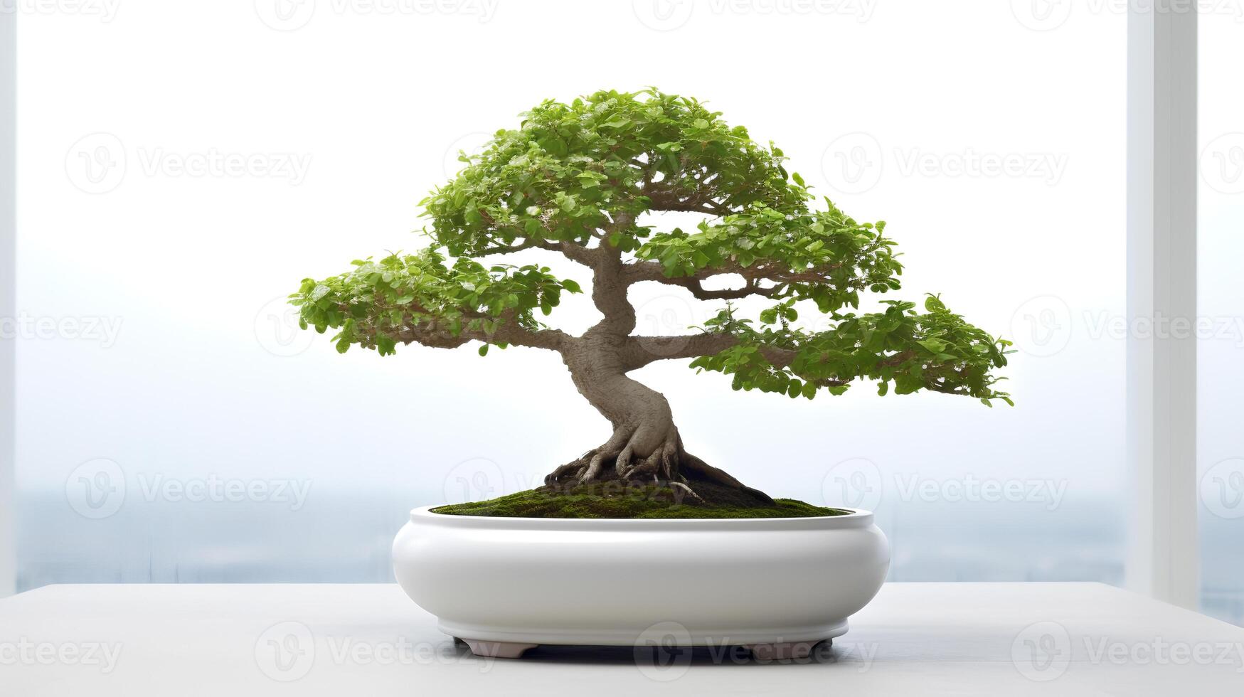 Foto von Bonsai im minimalistisch Topf wie Zimmerpflanze zum Zuhause Dekoration isoliert auf Weiß Hintergrund. generativ ai