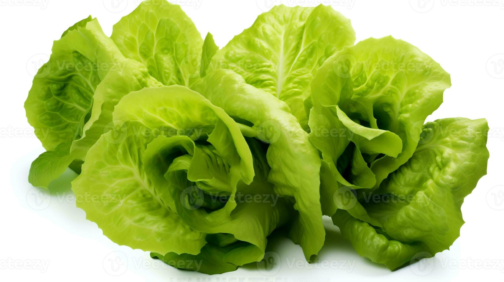 Foto von frisch Grüner Salat isoliert auf Weiß Hintergrund