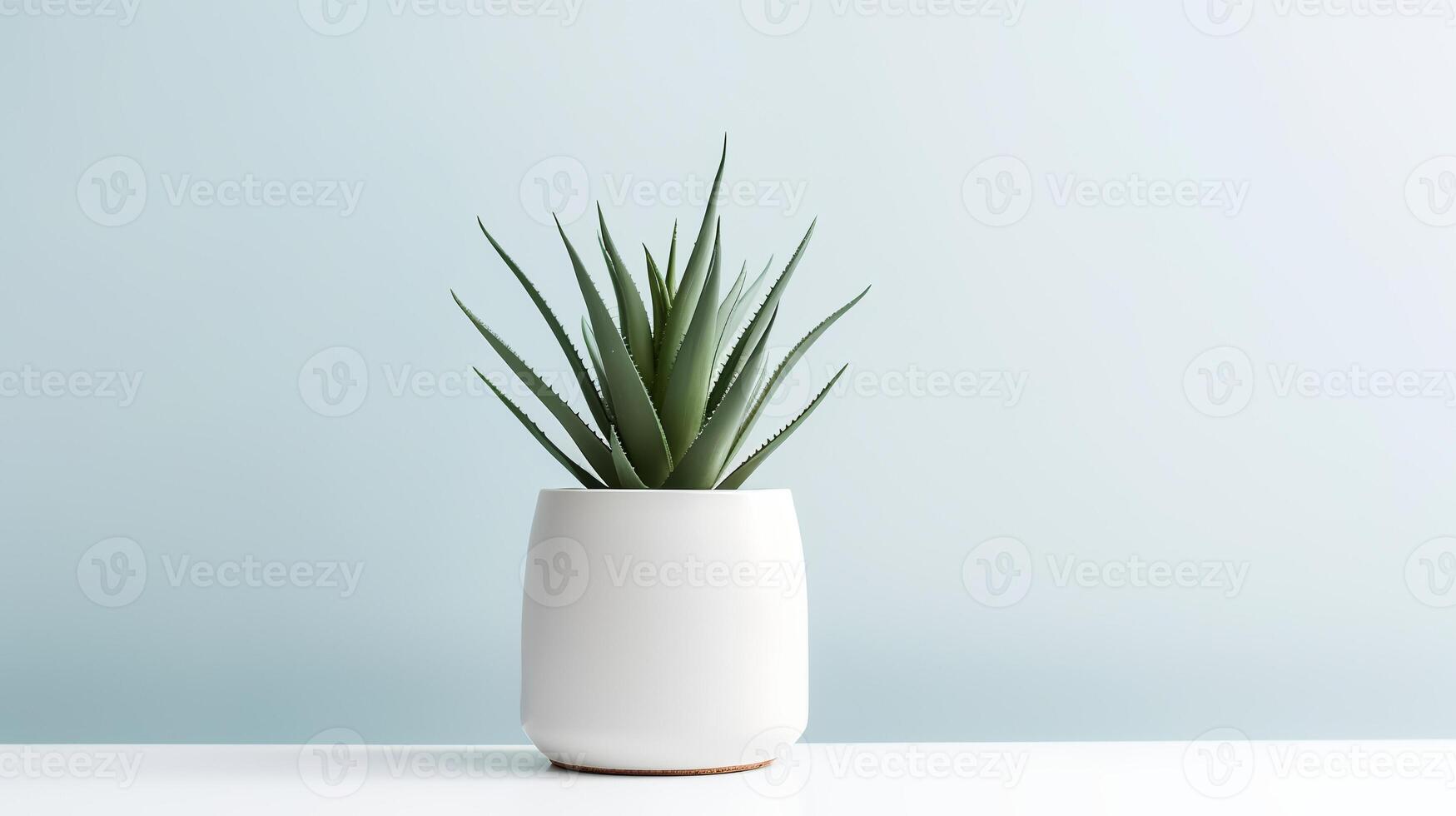 Foto von Agave im minimalistisch Topf wie Zimmerpflanze zum Zuhause Dekoration isoliert auf Weiß Hintergrund. generativ ai