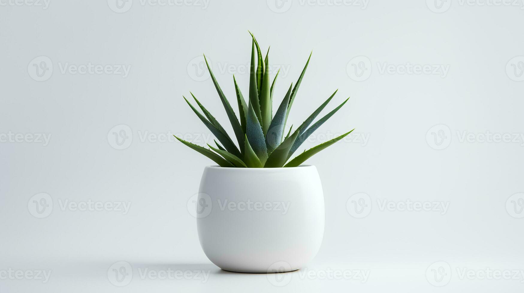 Foto von Agave im minimalistisch Topf wie Zimmerpflanze zum Zuhause Dekoration isoliert auf Weiß Hintergrund. generativ ai